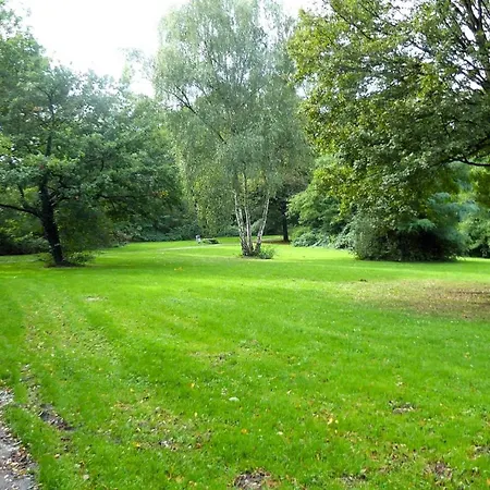 Villa, 24, Dz *