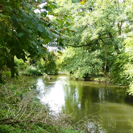 Villa, 24, Dz * Leverkusen