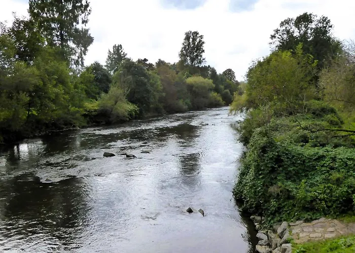 Villa, 24, Dz Lejlighed Leverkusen